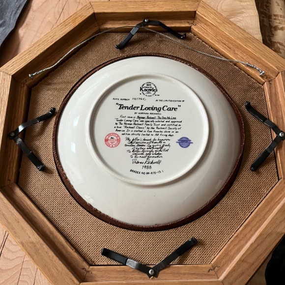 Norman Rockwell Framed Plate “ Tender Loving Care” - Picture 2 of 2